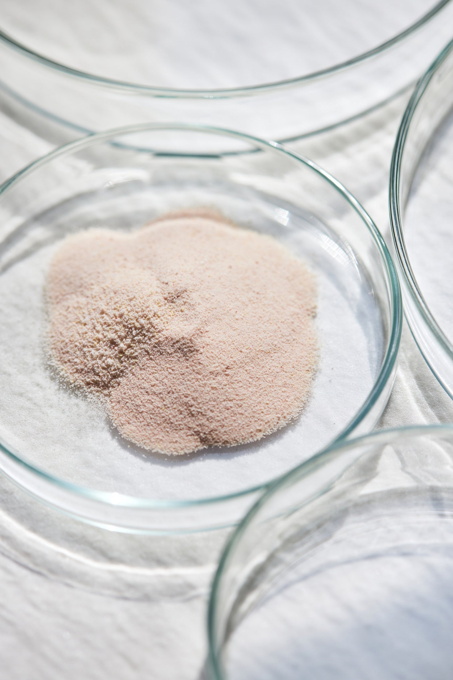 Ist Ihr Kollagen frei von Giftstoffen?